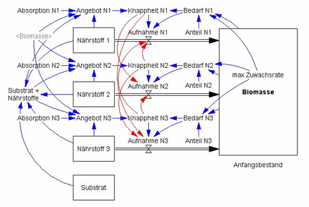 Ein vereinfachtes System-Dynamics-Modell für Pflanzenwachstum